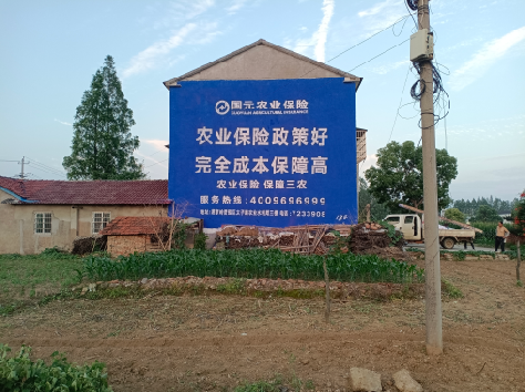 定南墙体广告为何受追捧？